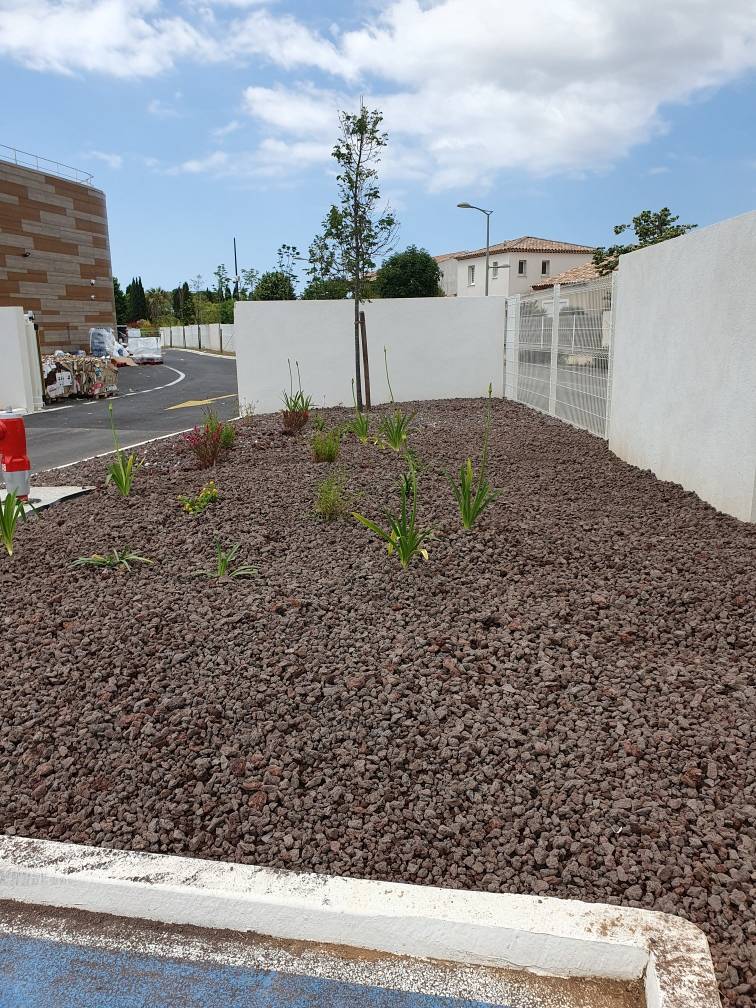 Aménagement végétal du parking d'une entreprise à La Seyne